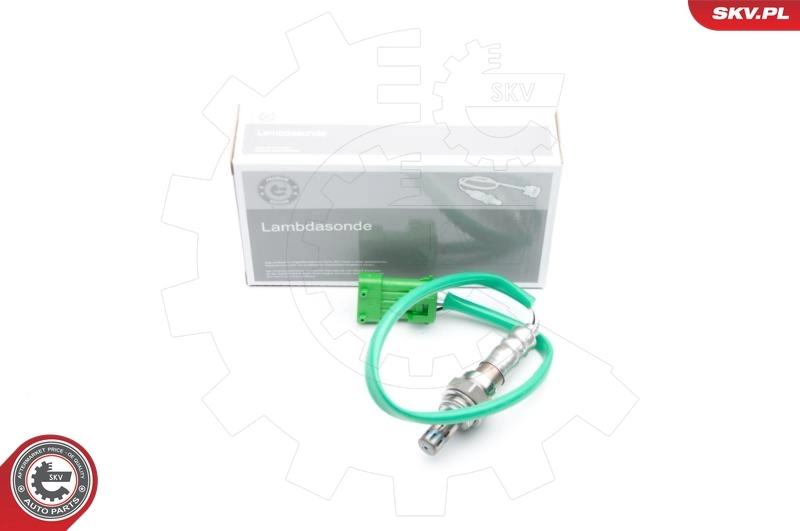 Oxygen Sensor